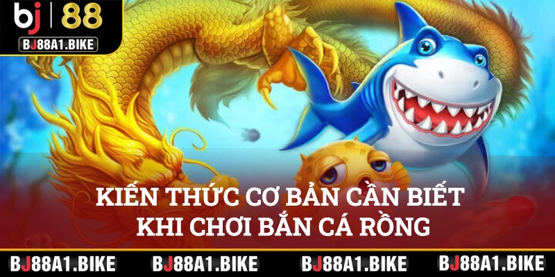 Kiến thức cơ bản cần biết khi chơi săn cá Rồng